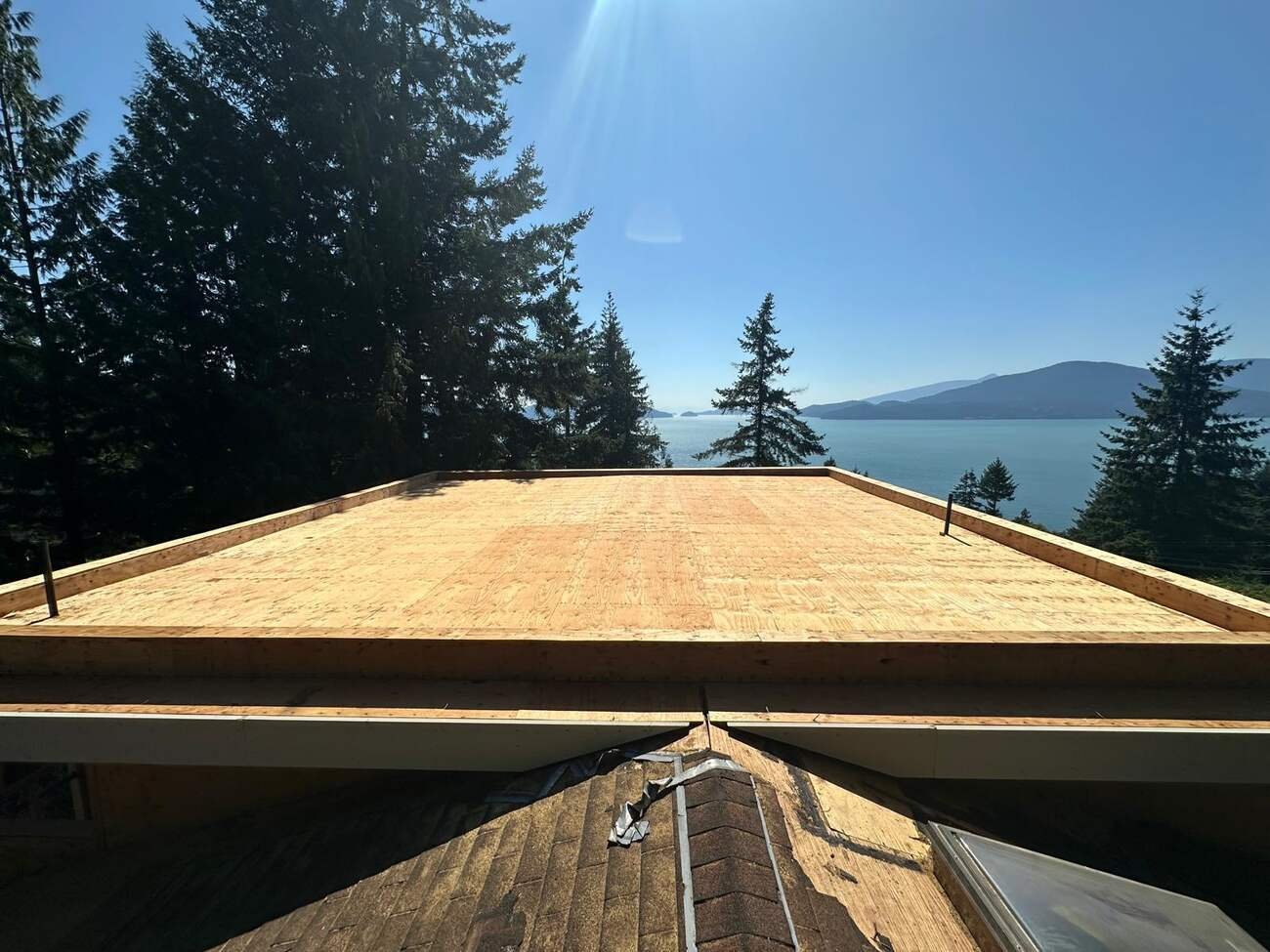 Renovations — TruMen Constructions project